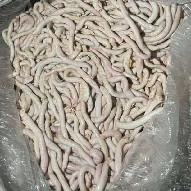 Isaw Manok 