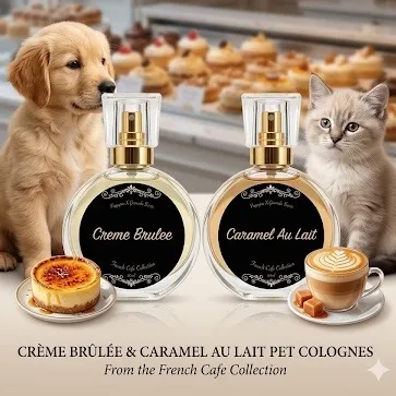 Pet cologne French Café Collection Creme Bruleé