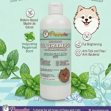 Per Shampoo in Peppermint Scent 
